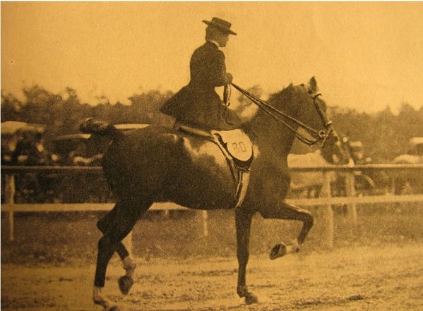 Le sport en 1900 Us